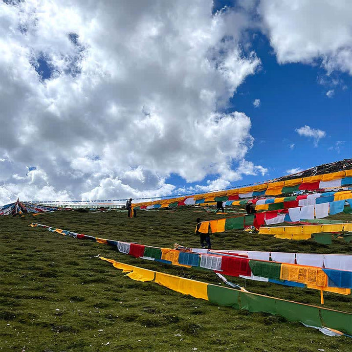 Buddha Stones Tibetan 5 Colors Windhorse Auspicious Outdoor 25 Pcs Prayer Flag