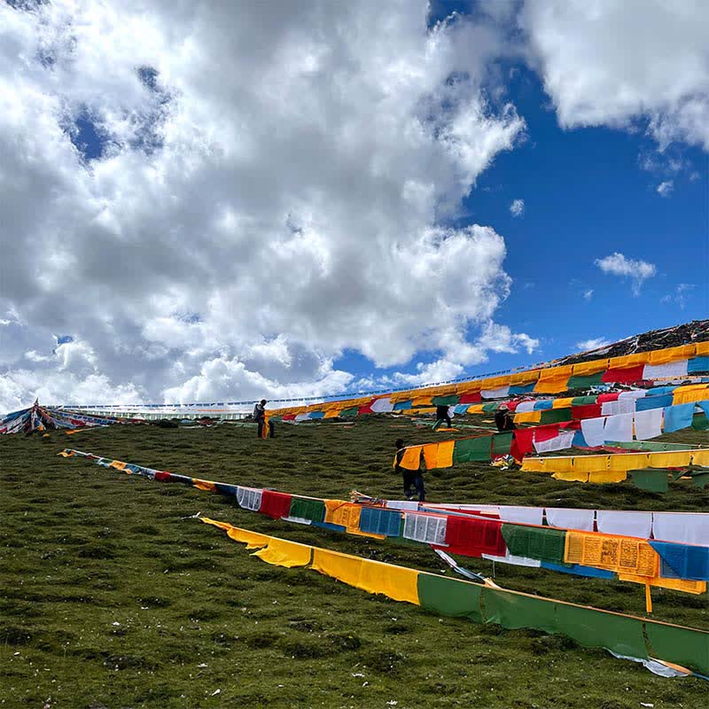 Buddha Stones Tibetan 5 Colors Windhorse Auspicious Outdoor 25 Pcs Prayer Flag