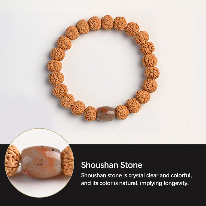BWOOOH Tibet Rudraksha Bodhi Seed Wealth Auspiciousness Bracelet | spiritual healing bracelet