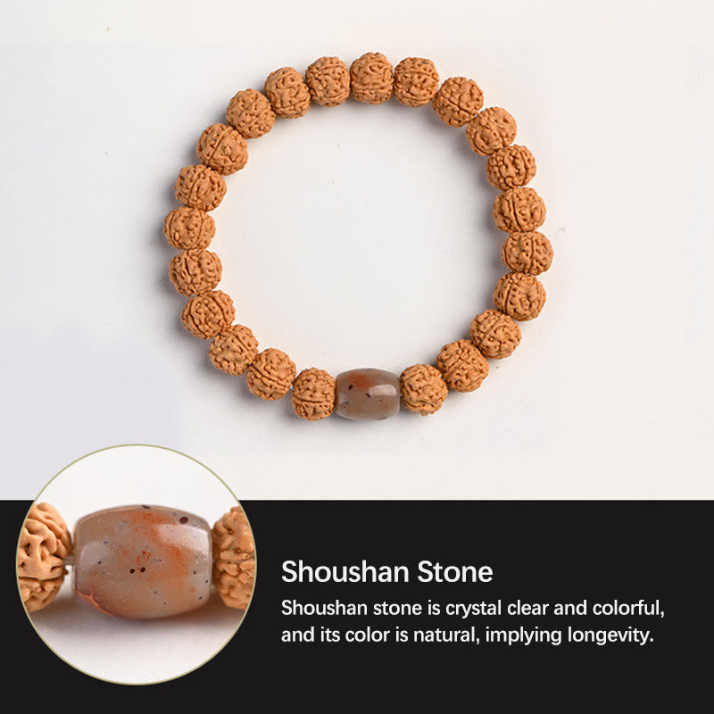BWOOOH Tibet Rudraksha Bodhi Seed Wealth Auspiciousness Bracelet | spiritual healing bracelet