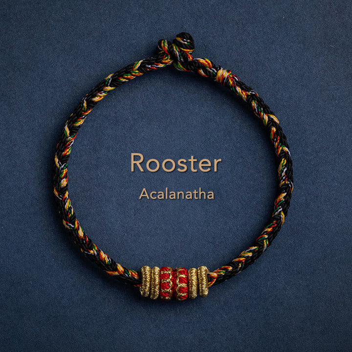 BWOOOH Tibet Handmade Chinese Zodiac Natal Buddha Luck Strength Braided String Bracelet