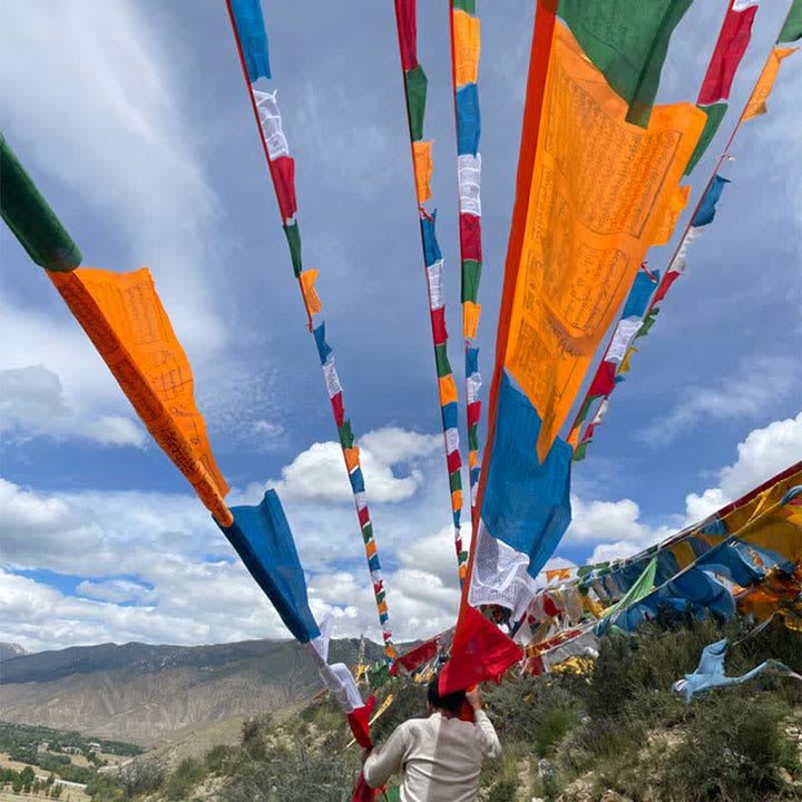 Buddha Stones Tibetan 5 Colors Windhorse Auspicious Outdoor 25 Pcs Prayer Flag