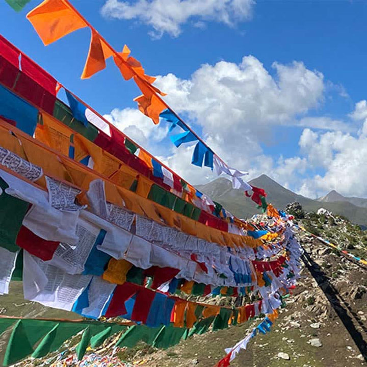 Buddha Stones Tibetan 5 Colors Windhorse Auspicious Outdoor 25 Pcs Prayer Flag