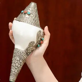 Tibetan Natural Shankha Conch Shell Seashell Wealth Lucky Home Decoration