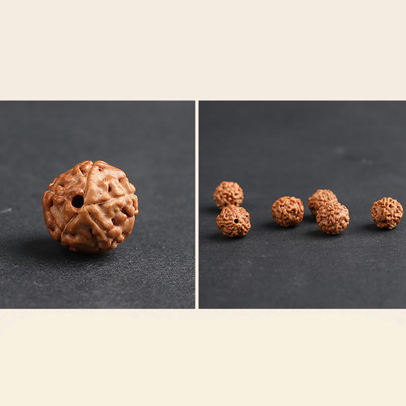 BWOOOH Tibet Rudraksha Bodhi Seed PiXiu Copper Coin Wealth Luck Bracelet | spiritual healing bracelet
