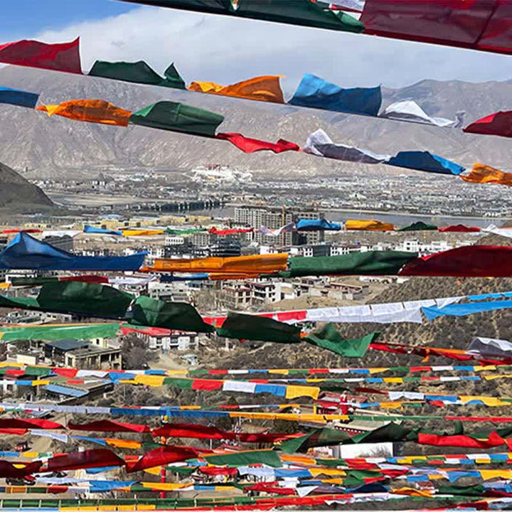 Buddha Stones Tibetan 5 Colors Windhorse Auspicious Outdoor 25 Pcs Prayer Flag