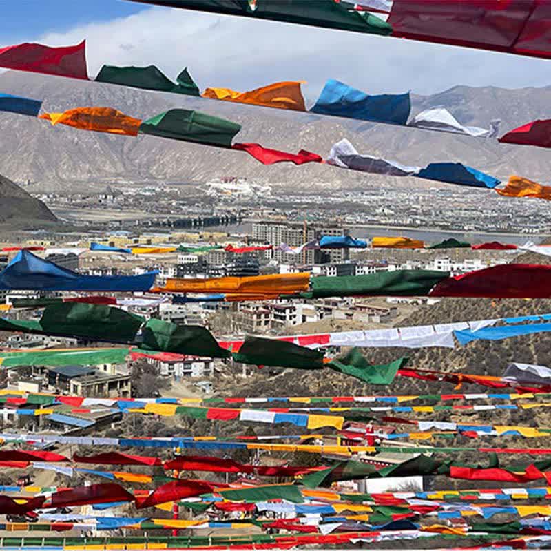 Buddha Stones Tibetan 5 Colors Windhorse Auspicious Outdoor 25 Pcs Prayer Flag