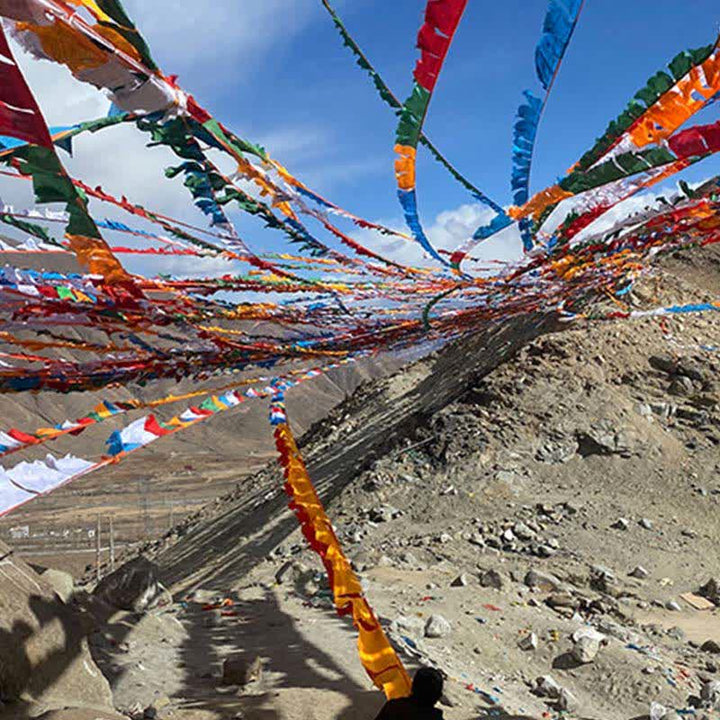 Buddha Stones Tibetan 5 Colors Windhorse Auspicious Outdoor 25 Pcs Prayer Flag