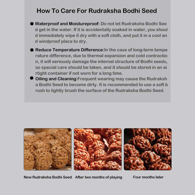 BWOOOH Tibet Rudraksha Bodhi Seed PiXiu Copper Coin Wealth Luck Bracelet | spiritual healing bracelet