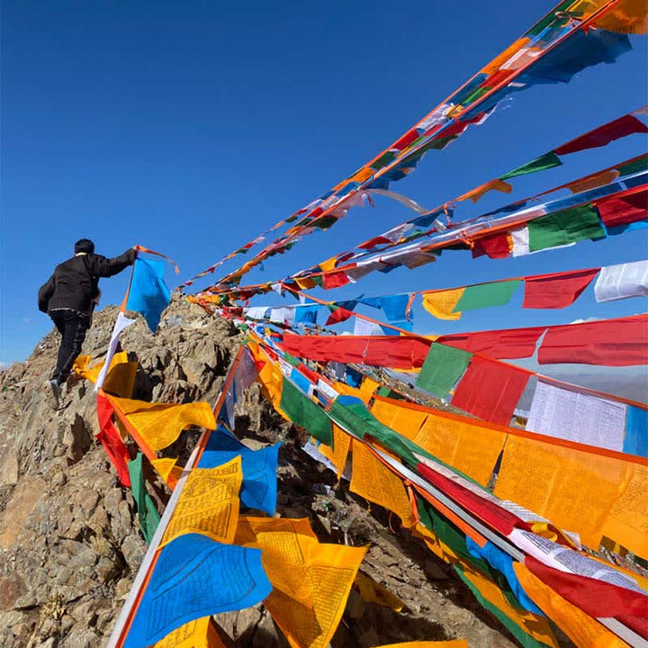 Buddha Stones Tibetan 5 Colors Windhorse Auspicious Outdoor 25 Pcs Prayer Flag