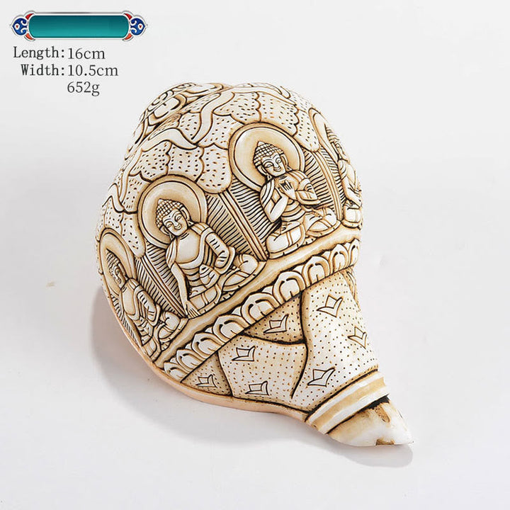 Tibetan Handmade Engraved Shankha Buddha Avalokitesvara Conch Shell Wealth Decoration