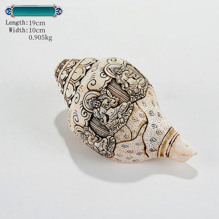 Tibetan Handmade Engraved Shankha Buddha Avalokitesvara Conch Shell Wealth Decoration