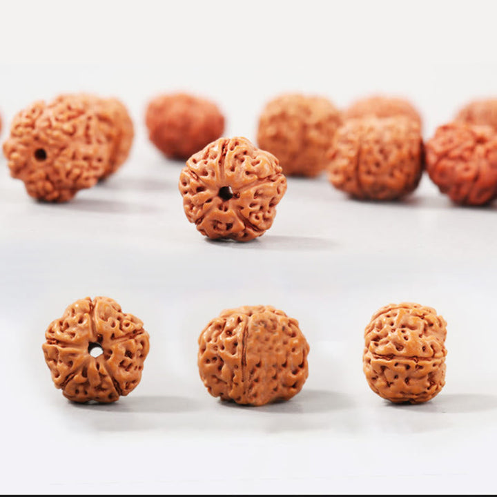 BWOOOH Tibet Rudraksha Bodhi Seed Wealth Auspiciousness Bracelet | spiritual healing bracelet