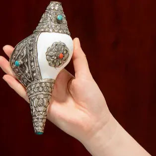 Tibetan Natural Shankha Conch Shell Seashell Wealth Lucky Home Decoration