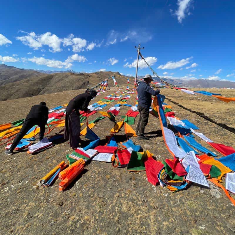 Buddha Stones Tibetan 5 Colors Windhorse Auspicious Outdoor 25 Pcs Prayer Flag