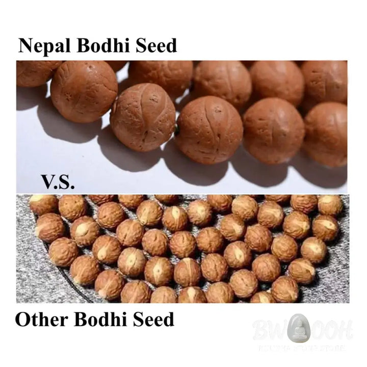 A BWOOOH 108-bead Nepal Bodhi Seed Mala bracelet, handcrafted with unique dark-speckled seeds on premium string, for meditation, enlightenment, and positive energy. - View 13