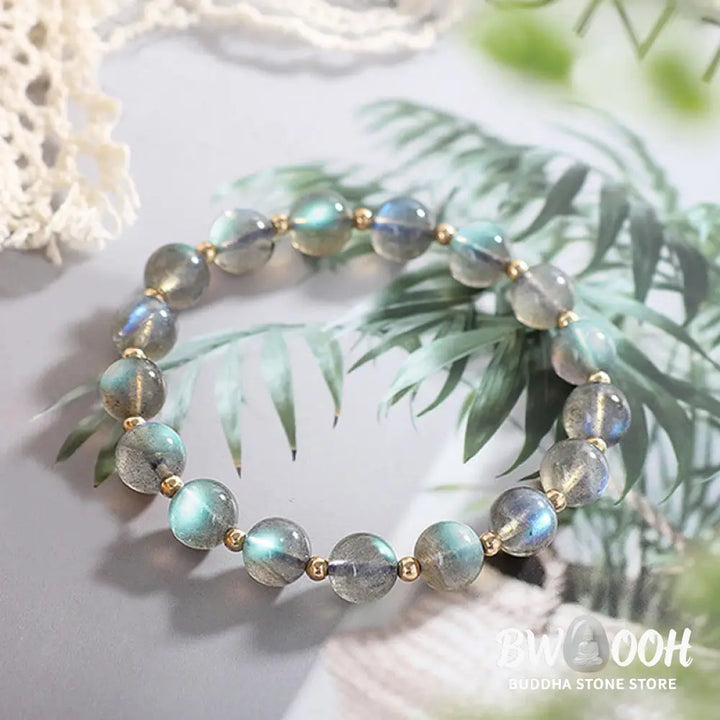 Buddha Stones 14k Gold Plated Natural Moonstone Healing Love Bracelet - BWOOOH - Bracelet
