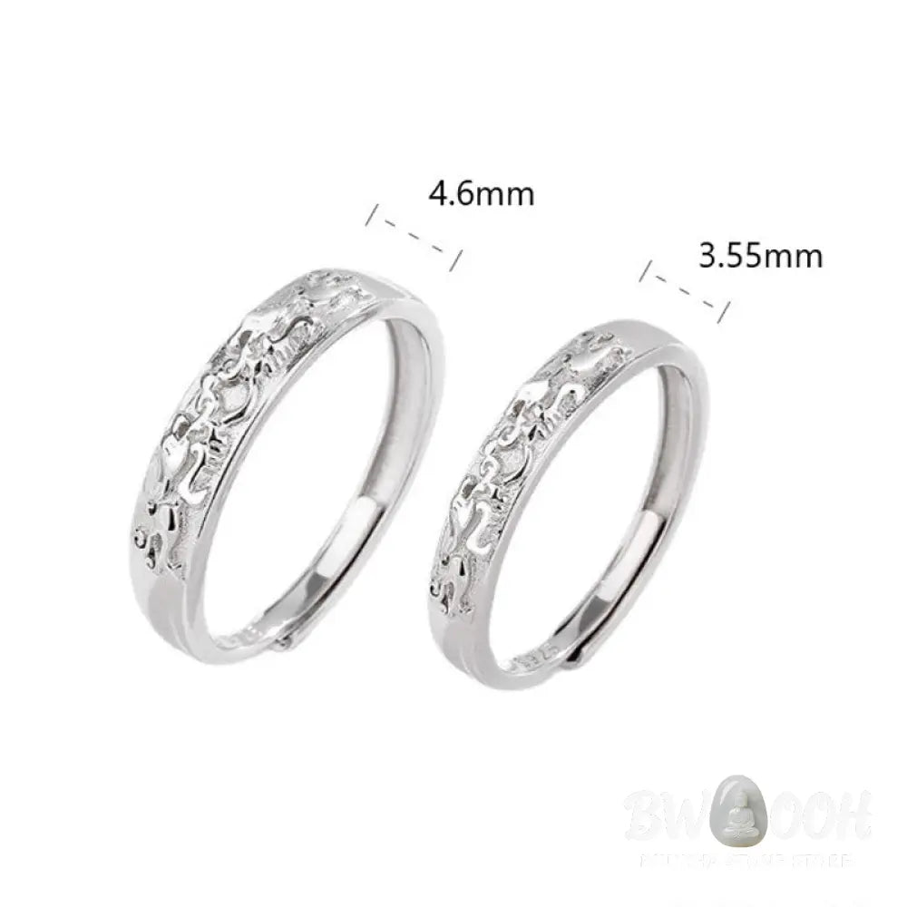 Buddha Stones 925 Sterling Silver PiXiu Balance Adjustable Couple Ring - BWOOOH - Ring