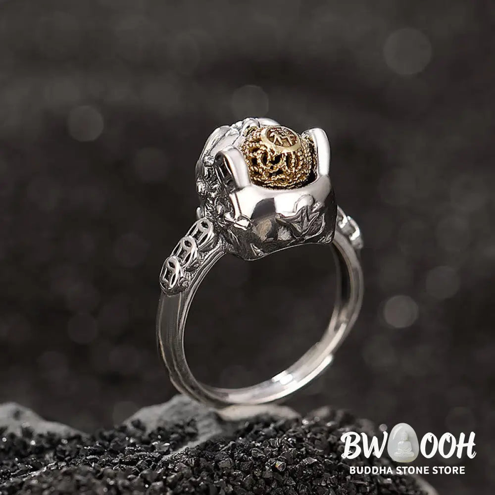 Buddha Stones 925 Sterling Silver PiXiu Copper Coin Wealth Adjustable Ring - 54-60mm(Adjustable)/US7-9(Adjustable)