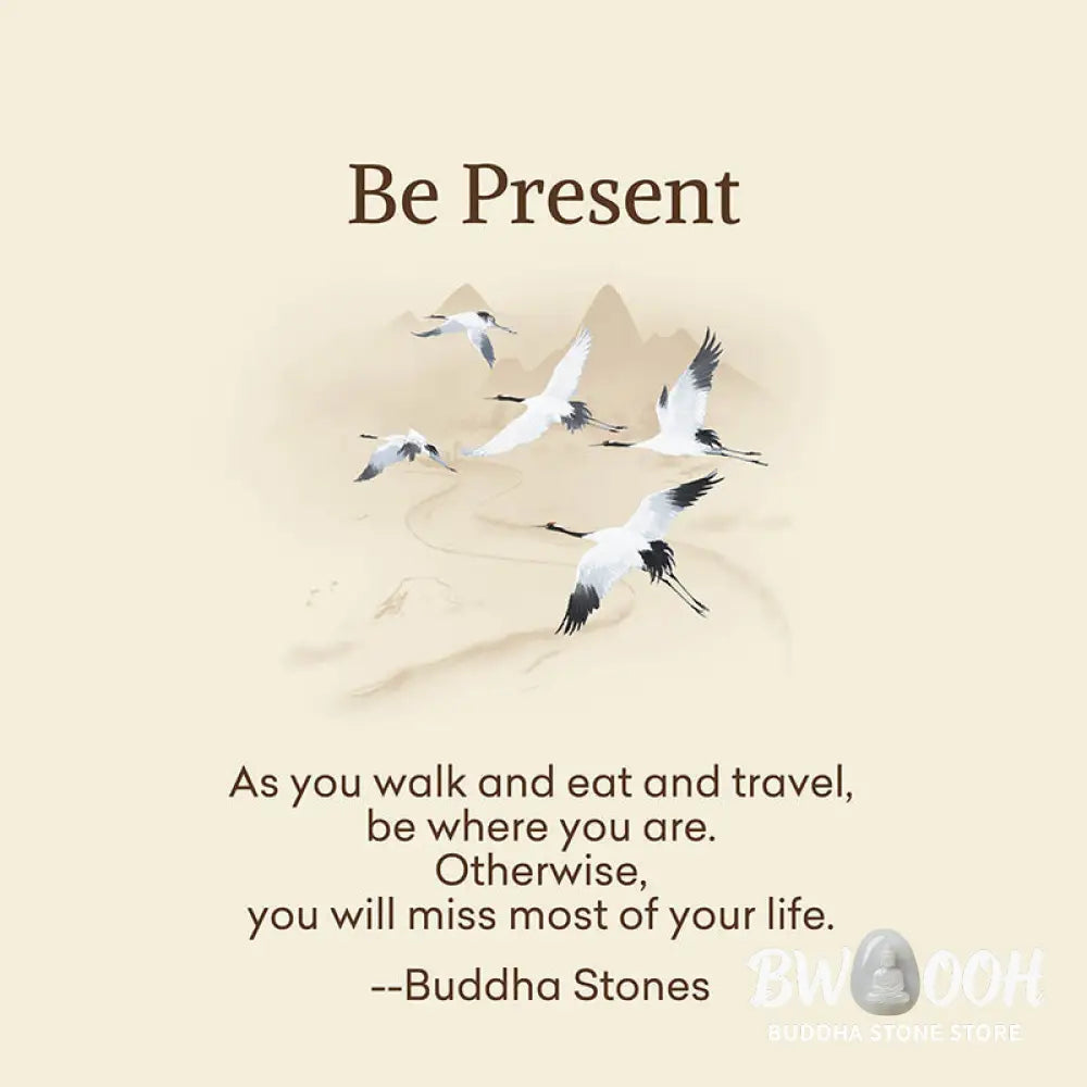 Buddha Stones 'Be Present' Casual White Red Cranes Men Women Unisex Socks Includes Gift Message Card - Black / One Size