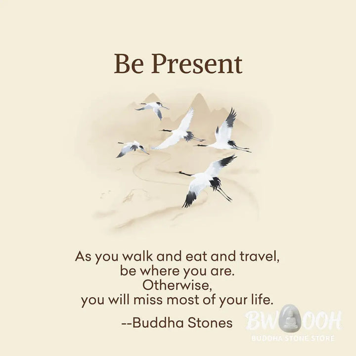Buddha Stones &
