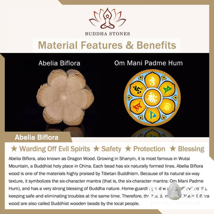 Buddha Stones Ebony Wood Wenge Wood Mountain Ghosts Spend Money Bagua Copper Coin Peace Bracelet - Bracelet