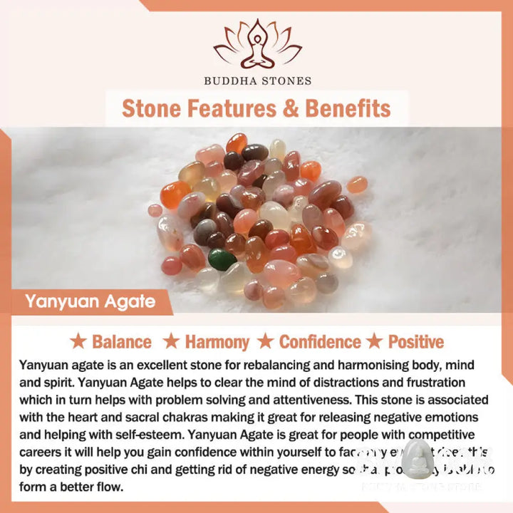 Buddha Stones Five Elements Various Crystal Agate Pixiu Wealth Bracelet - BWOOOH - Bracelet