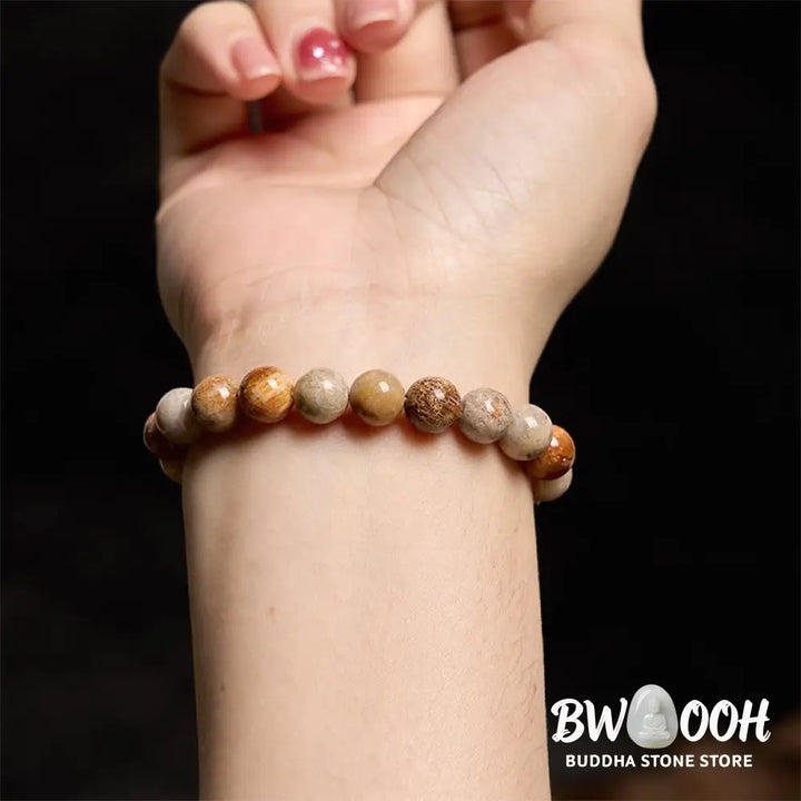 Buddha Stones Fossil Coral Compassion Bracelet - BWOOOH - Bracelet
