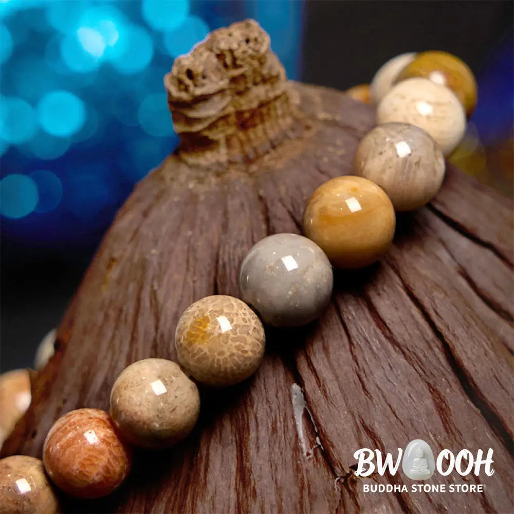 Buddha Stones Fossil Coral Compassion Bracelet - BWOOOH - Bracelet