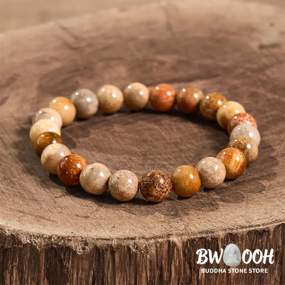 Buddha Stones Fossil Coral Compassion Bracelet - BWOOOH - Bracelet
