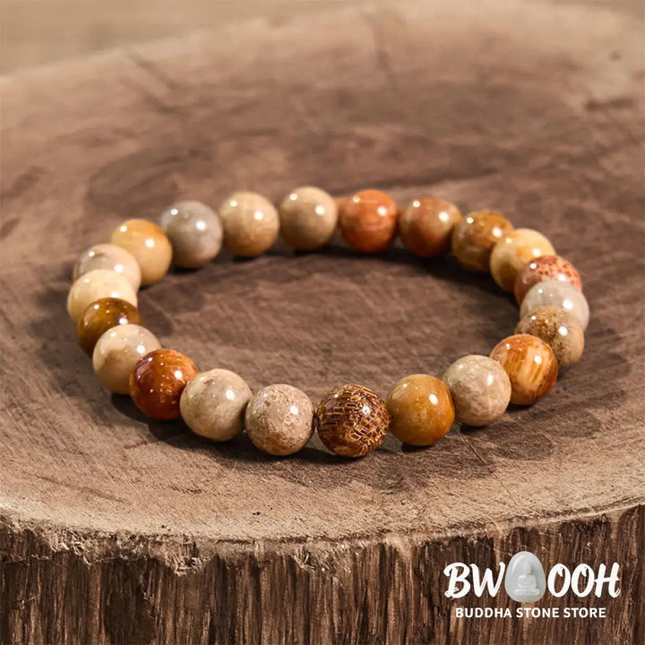 Buddha Stones Fossil Coral Compassion Bracelet - BWOOOH - Bracelet