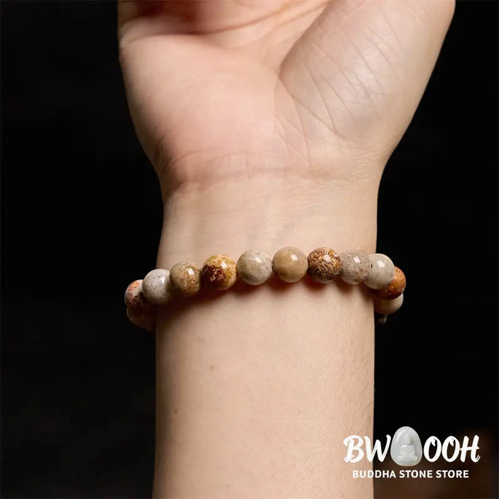 Buddha Stones Fossil Coral Compassion Bracelet - BWOOOH - Bracelet