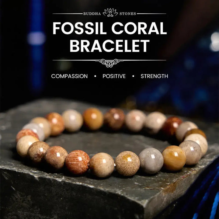 BWOOOH Fossil Coral Compassion Bracelet - BWOOOH - Fossil Coral(Wrist Circumference: 14-16cm) / 8-9mm - Bracelet