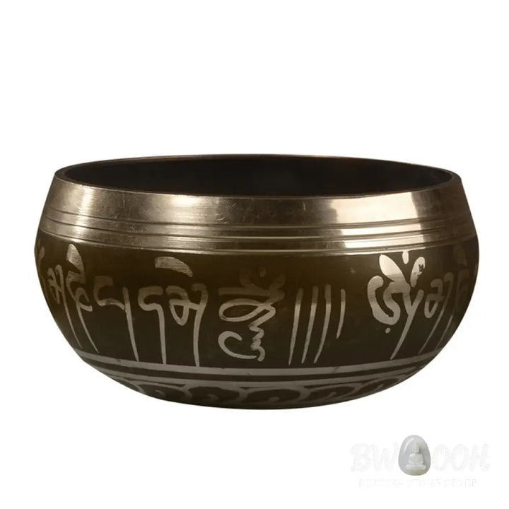 BWOOOH Tibetan singing bowl for meditation - Handmade Singing Bowl Buddha E