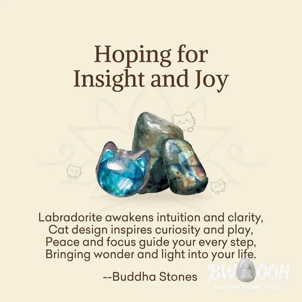 Buddha Stones ’Hoping for Insight and Joy’ Cat Labradorite Necklace Includes Gift Message Card - BWOOOH - Necklaces &amp;