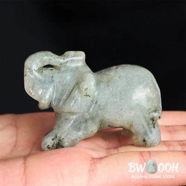 Buddha Stones &