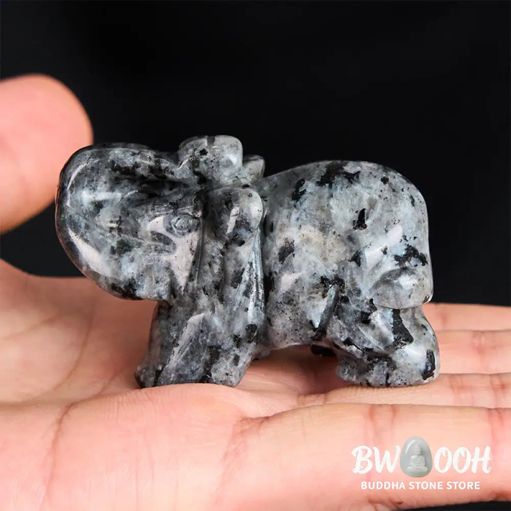 Buddha Stones &