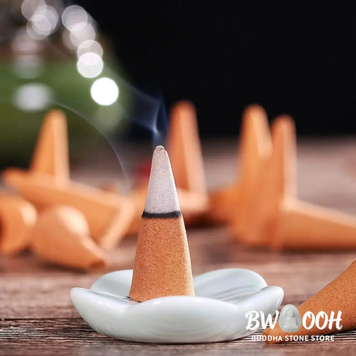 BWOOOH Mixed Scented Tower Incense Cones - 76 cones per pack (Random mix scents) - Incense