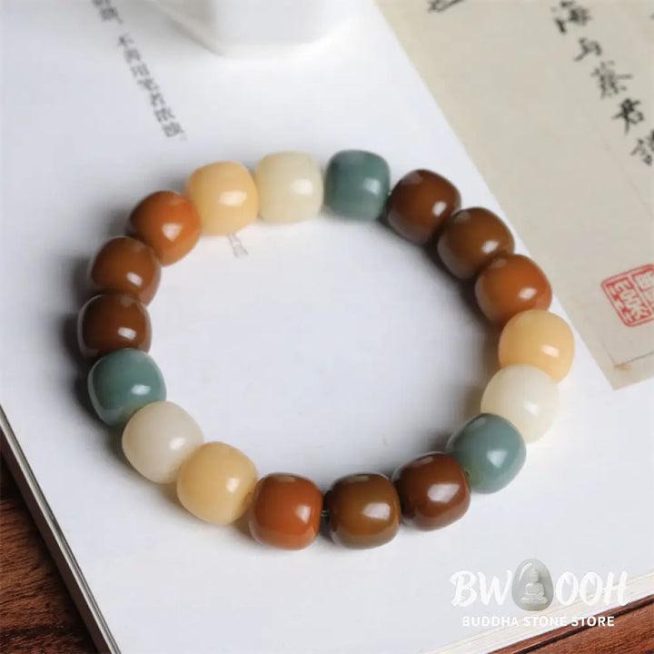 Buddha Stones Multicolored Bodhi Seed Keep Away Evil Spirits Bracelet - BWOOOH - Bodhi Seed(Wisdom♥Wake Up) - Bracelet