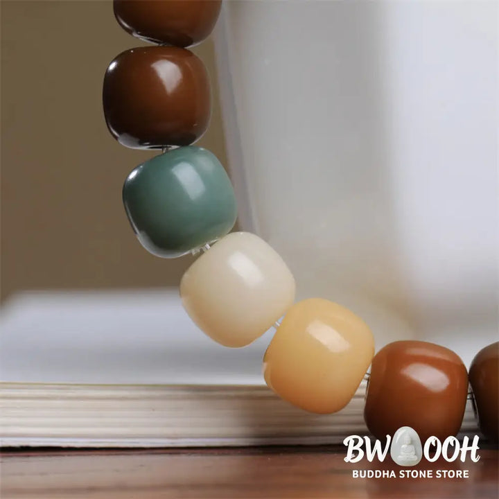 Buddha Stones Multicolored Bodhi Seed Keep Away Evil Spirits Bracelet - BWOOOH - Bodhi Seed(Wisdom♥Wake Up) - Bracelet