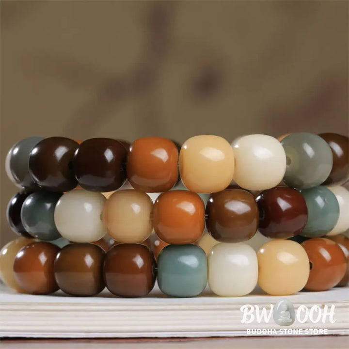 Buddha Stones Multicolored Bodhi Seed Keep Away Evil Spirits Bracelet - BWOOOH - Bodhi Seed(Wisdom♥Wake Up) - Bracelet