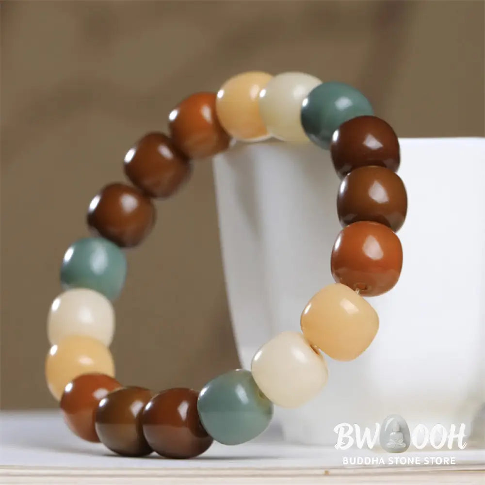 Buddha Stones Multicolored Bodhi Seed Keep Away Evil Spirits Bracelet - BWOOOH - Bodhi Seed(Wisdom♥Wake Up) - Bracelet
