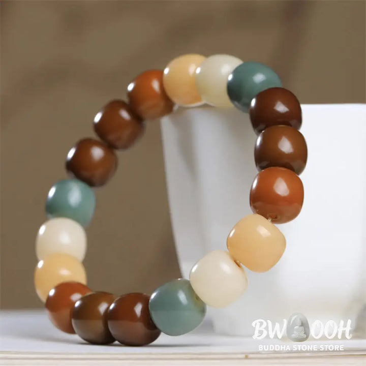Buddha Stones Multicolored Bodhi Seed Keep Away Evil Spirits Bracelet - BWOOOH - Bodhi Seed(Wisdom♥Wake Up) - Bracelet