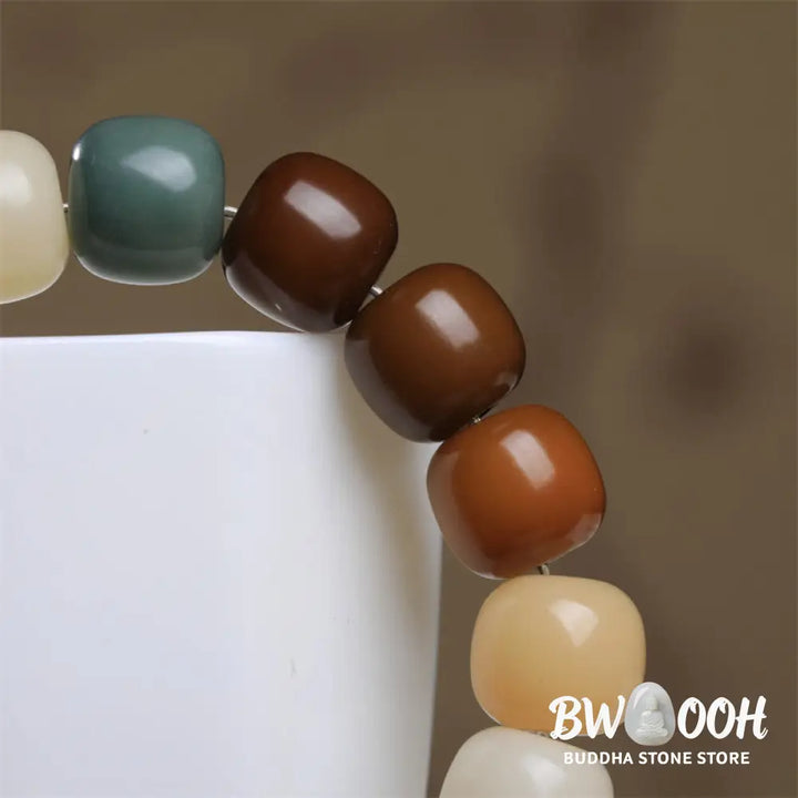 Buddha Stones Multicolored Bodhi Seed Keep Away Evil Spirits Bracelet - BWOOOH - Bodhi Seed(Wisdom♥Wake Up) - Bracelet
