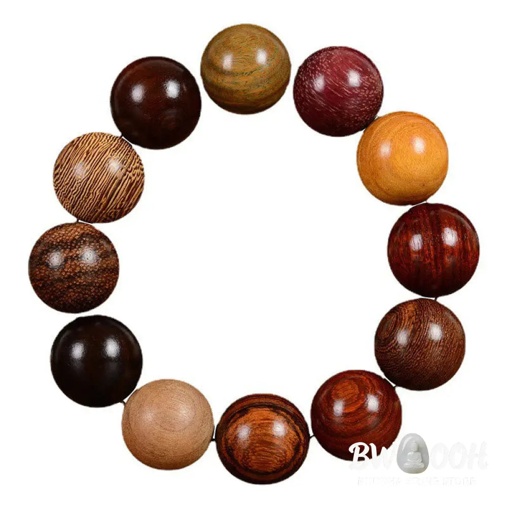 Buddha Stones Multicolored Sandalwood Protection Healing Bracelet - BWOOOH - Bracelet