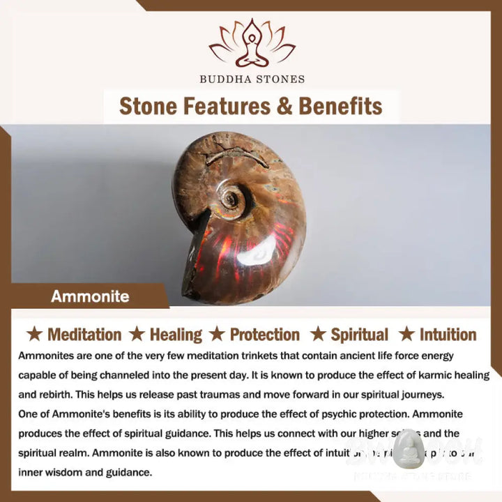Buddha Stones Natural Ammonite Fossil Snail Pattern Meditation Healing Necklace Pendant - BWOOOH
