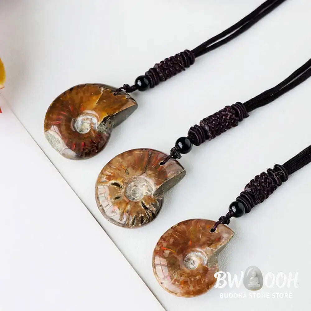 Buddha Stones Natural Ammonite Fossil Snail Pattern Meditation Healing Necklace Pendant - BWOOOH