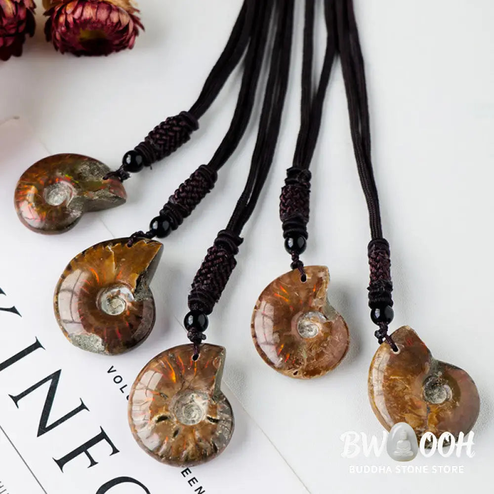 Buddha Stones Natural Ammonite Fossil Snail Pattern Meditation Healing Necklace Pendant - BWOOOH