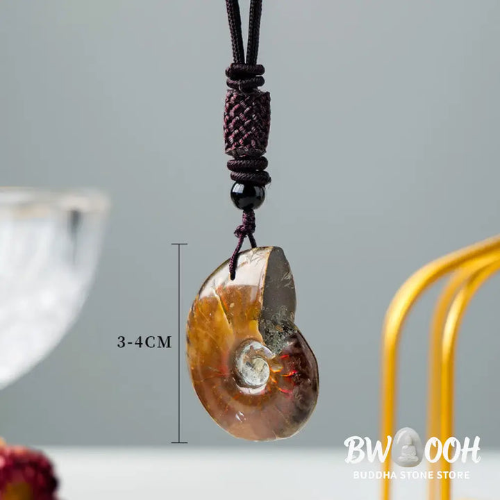 Buddha Stones Natural Ammonite Fossil Snail Pattern Meditation Healing Necklace Pendant - BWOOOH