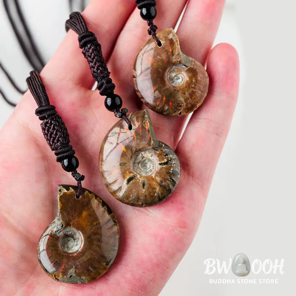 Buddha Stones Natural Ammonite Fossil Snail Pattern Meditation Healing Necklace Pendant - BWOOOH